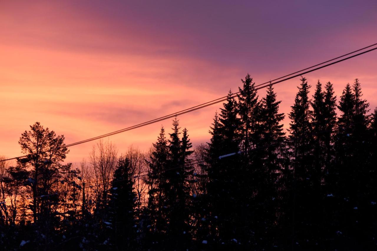 Fresh Familie Hytte Hemsedal Exterior foto