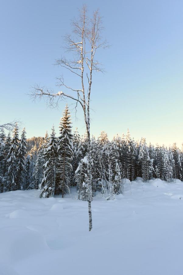 Fresh Familie Hytte Hemsedal Exterior foto